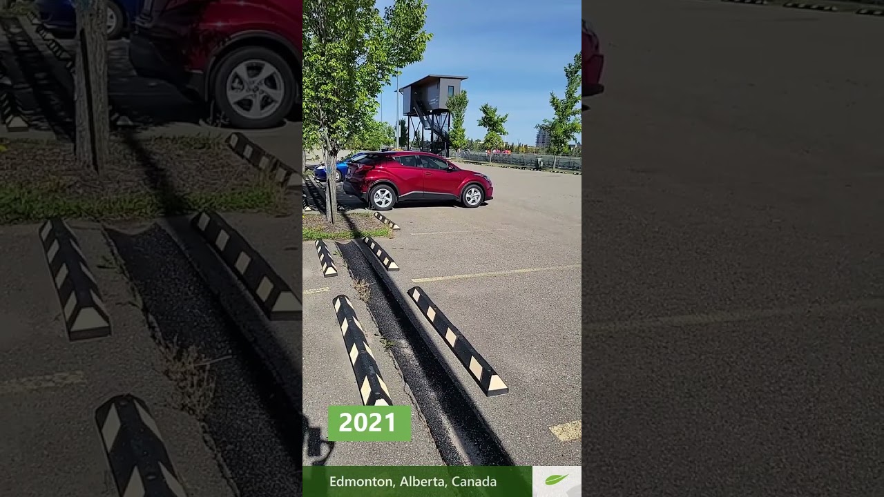 Millwoods Parking Lot Tree Comparison | Stratavault