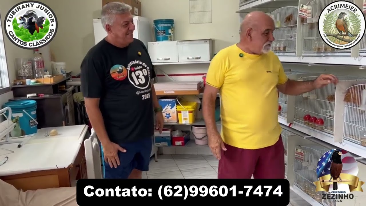 ENTREVISTA COM CRIATÓRIO DE CURIÓ CLÁSSICO ZEZINHO USA - GOIANIA