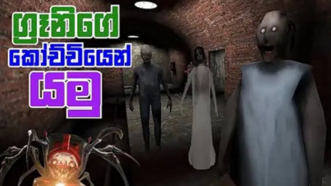 ග්‍රැණි3  කොච්චියෙන් පයිමු
