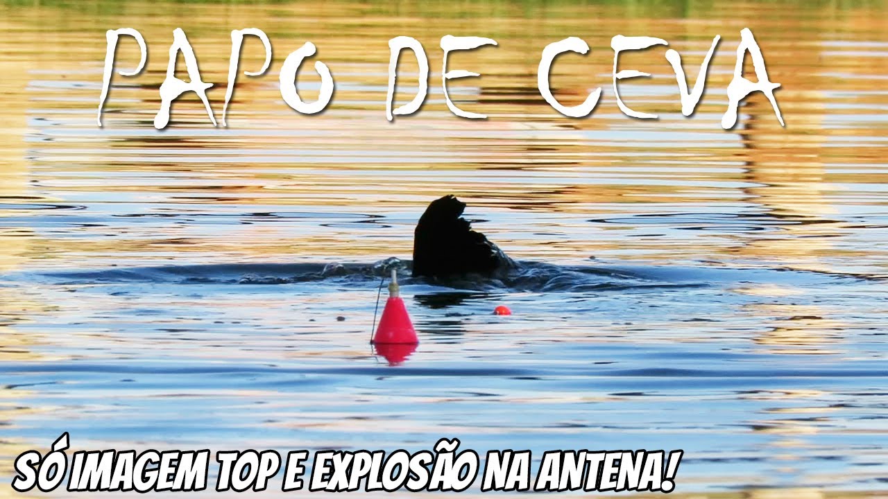BOIA CEVADEIRA NO PESQUEIRO BOA VISTA - A ANTENA MOEU NA CASA DOS VERD&Otilde;ES! PAPO DE CEVA