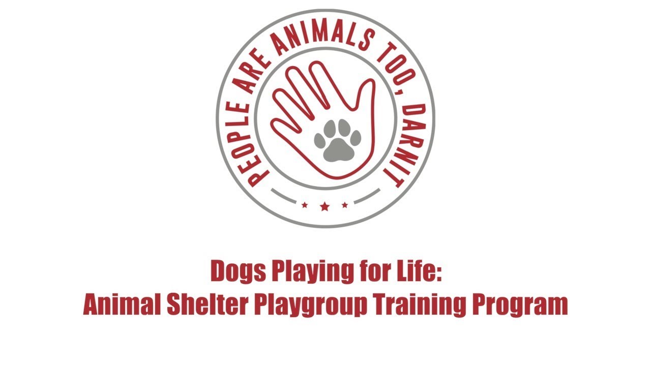 Episode 24 - Dogs Playing for Life