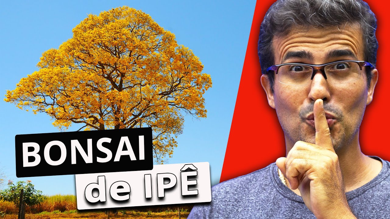 REVELEI MEU BONSAI DE IPÊ!?!