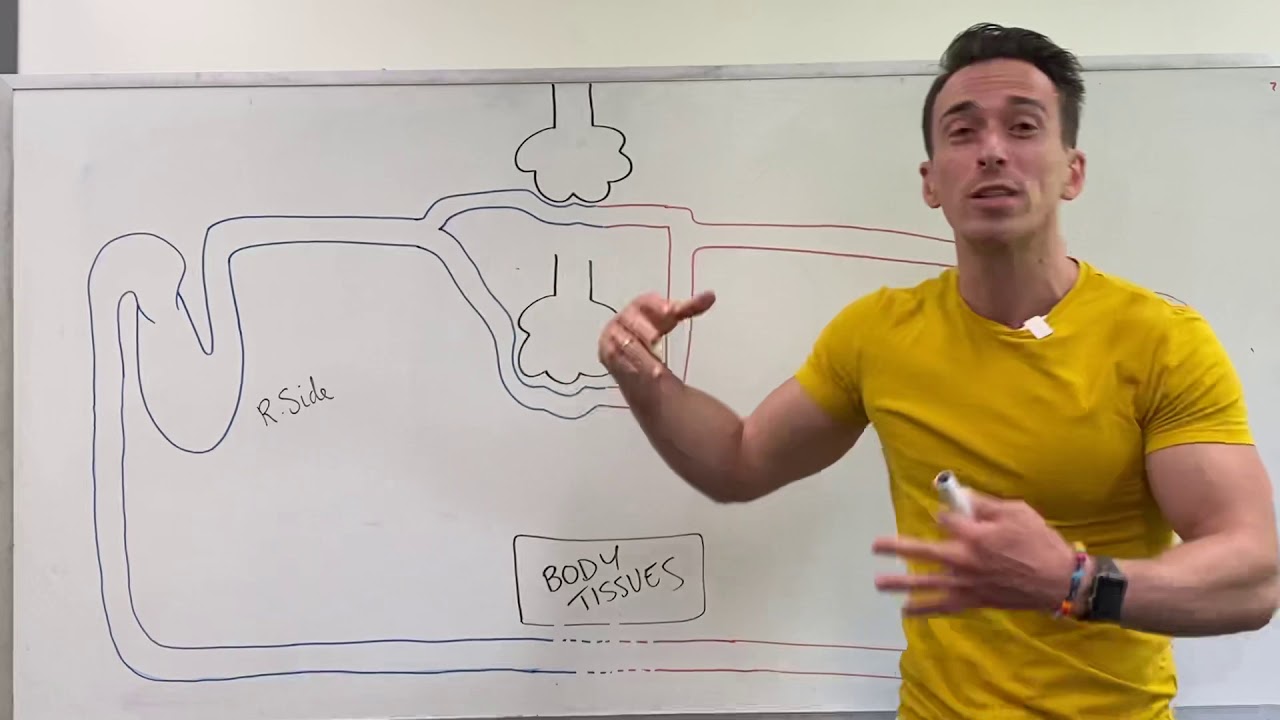 Chronic Bronchitis in 2 minutes!