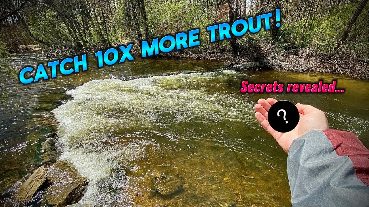 OUT-FISH EVERYONE This Trout Season With This SECRET TECHNIQUE (Works Everytime)