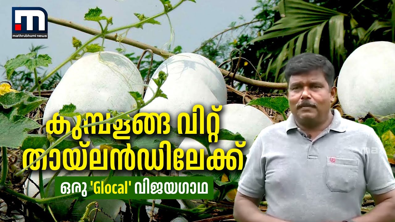 കുമ്പളങ്ങ വിറ്റ് തായ്ലൻഡിലേക്ക്; ഒരു കർഷകന്‍റെ വിജയകഥ  | Mathrubhumi News