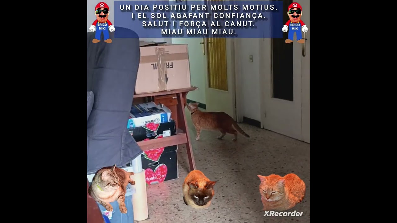 UN DIA POSITIU,PER MOLTS MOTIUS.I EL SOL AGAFANT CONFIAN&Ccedil;A.SALUT I FOR&Ccedil;A AL CANUT.MIAU MIAU MIAU.