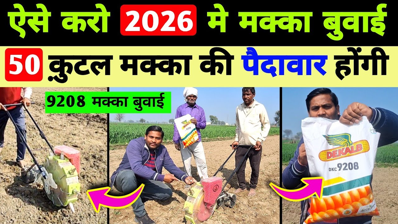 मक्का की बुवाई कैसे करे / makka buai kaise kre / makka ki kheti kaise  / makka bone ki machine