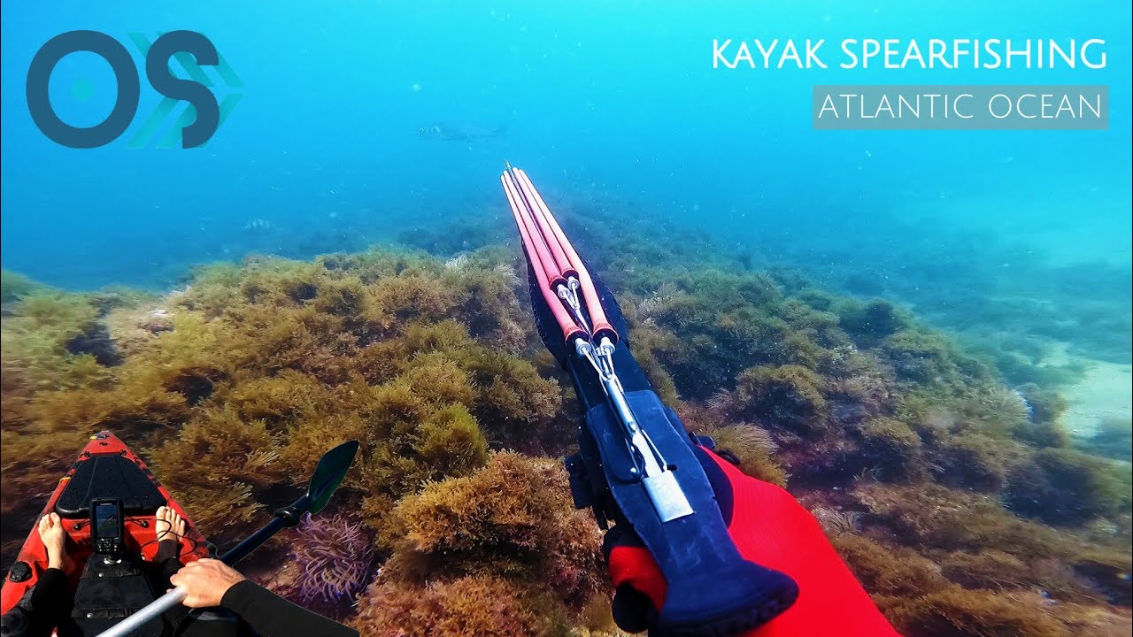 4days of Kayak Spearfishing summer in the Atlantic (Algarve, Portugal) #Spearfishing #pescasub