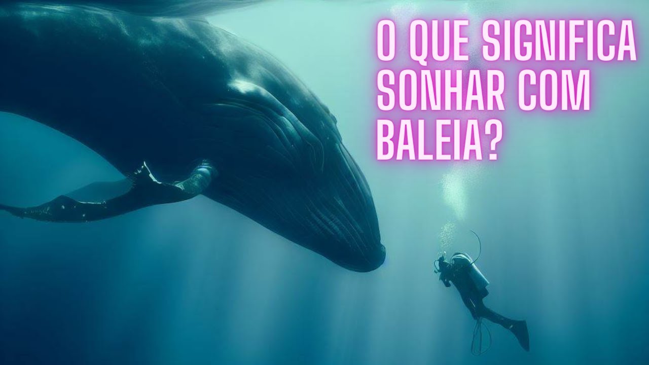 O QUE SIGNIFICA SONHAR COM BALEIA? 🐳
