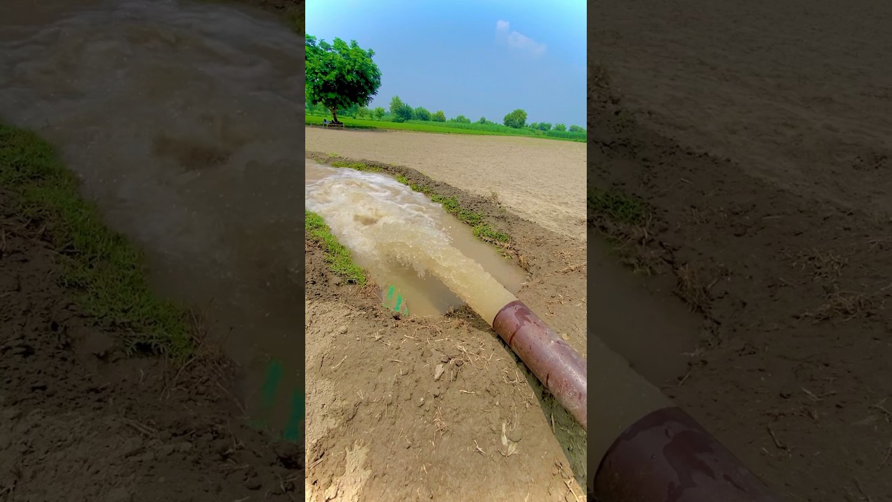 Agriculture solar pump 25 hp motor #shortsfeed 4 inch water pump #aerator #cropper