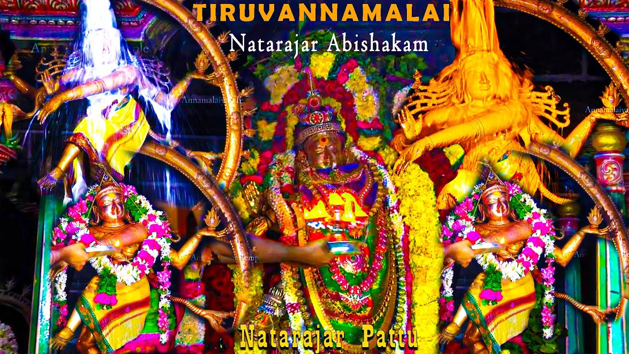 Tiruvannamalai Arunachaleshwarar  | Natarajar Abishakam | Natarajar Patthu In Tamil | Annamalayar