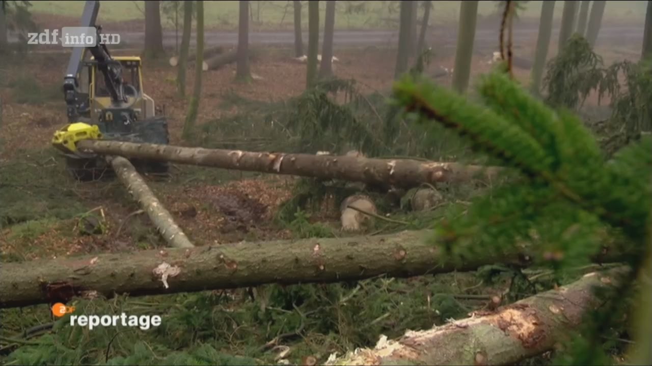 [Doku] Wild, Wald, Winter - F&ouml;rster im Gro&szlig;einsatz [HD]