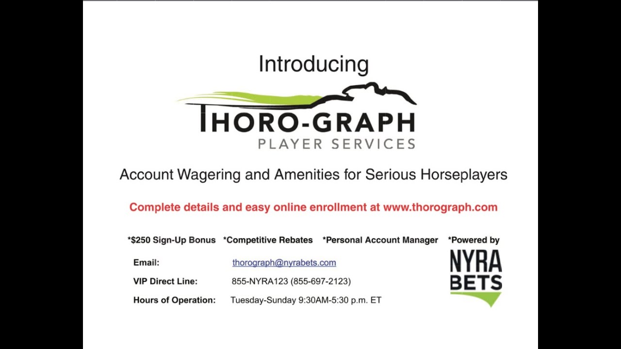 Thorograph: The Fundamentals