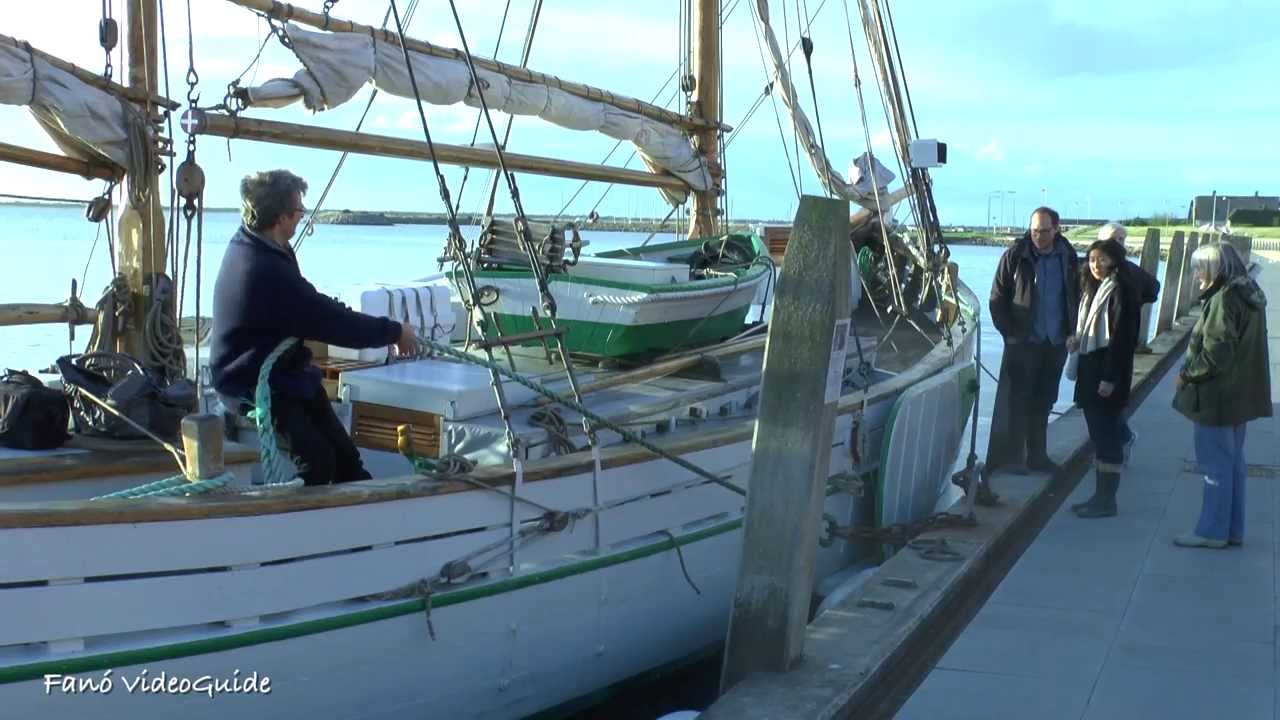 Oyster Safari with 