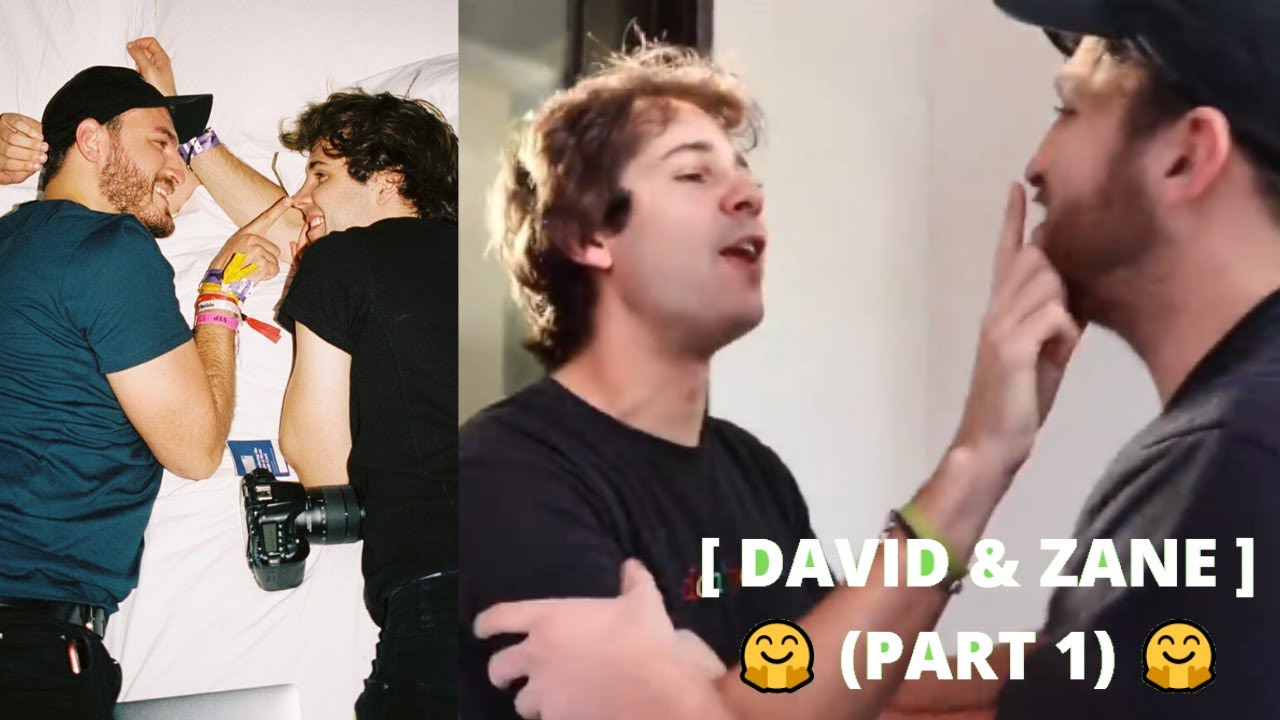 David Dobrik BEST MOMENTS on Zane Hijazi's CHANNEL [PART 1] (w/ Natalie, & more) | bruhh