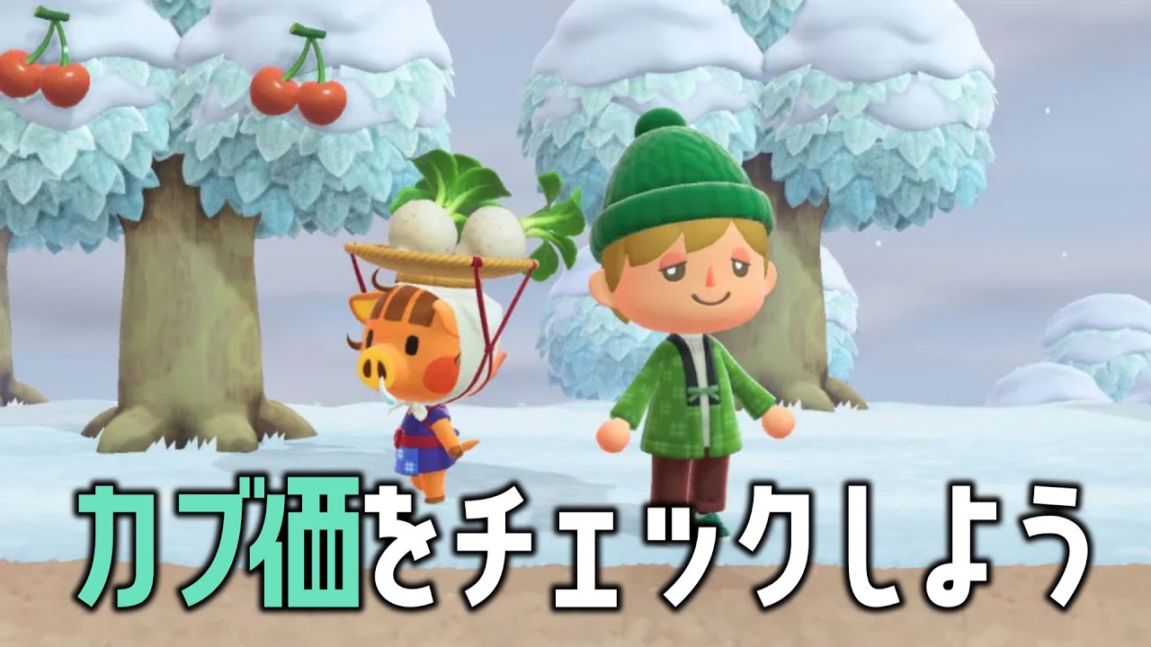 【#06】みんなでカブ価をチェックしよう！【あつまれ どうぶつの森】