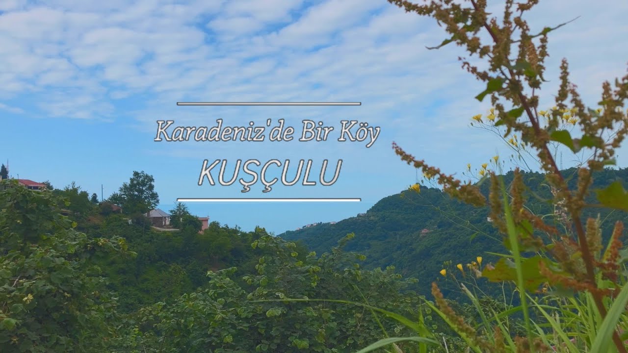 Karadeniz'de Bir Köy: Kuşçulu