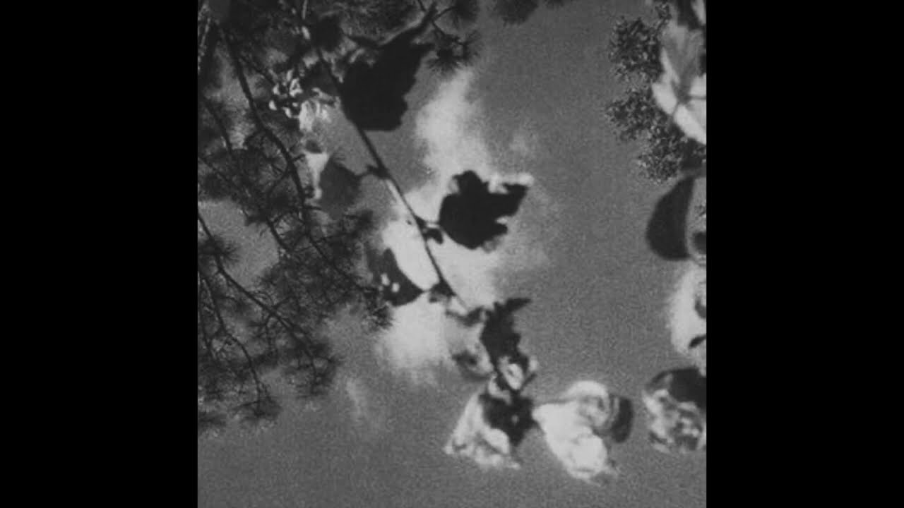 ( free for profit ) Math rock X Midwestemo x Indie 