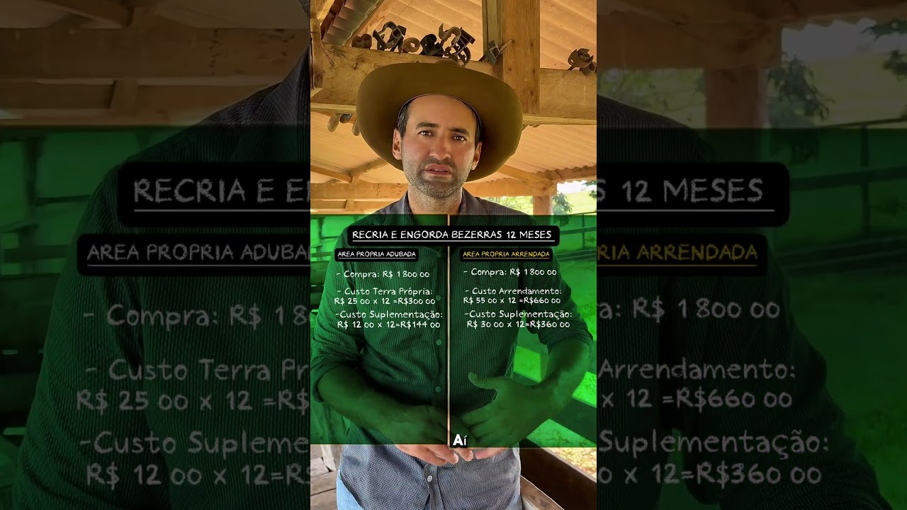 Quanto sobra de lucro a recria e engorda de Femeas