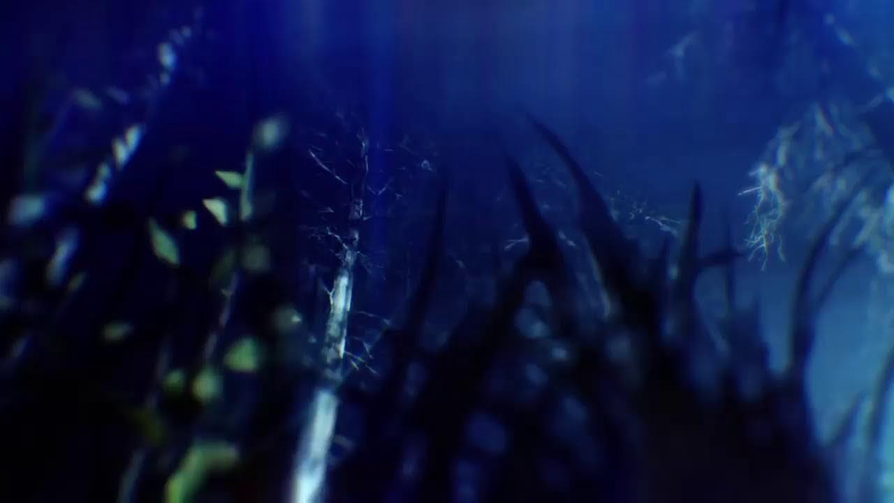 First room Zetsubou clássico