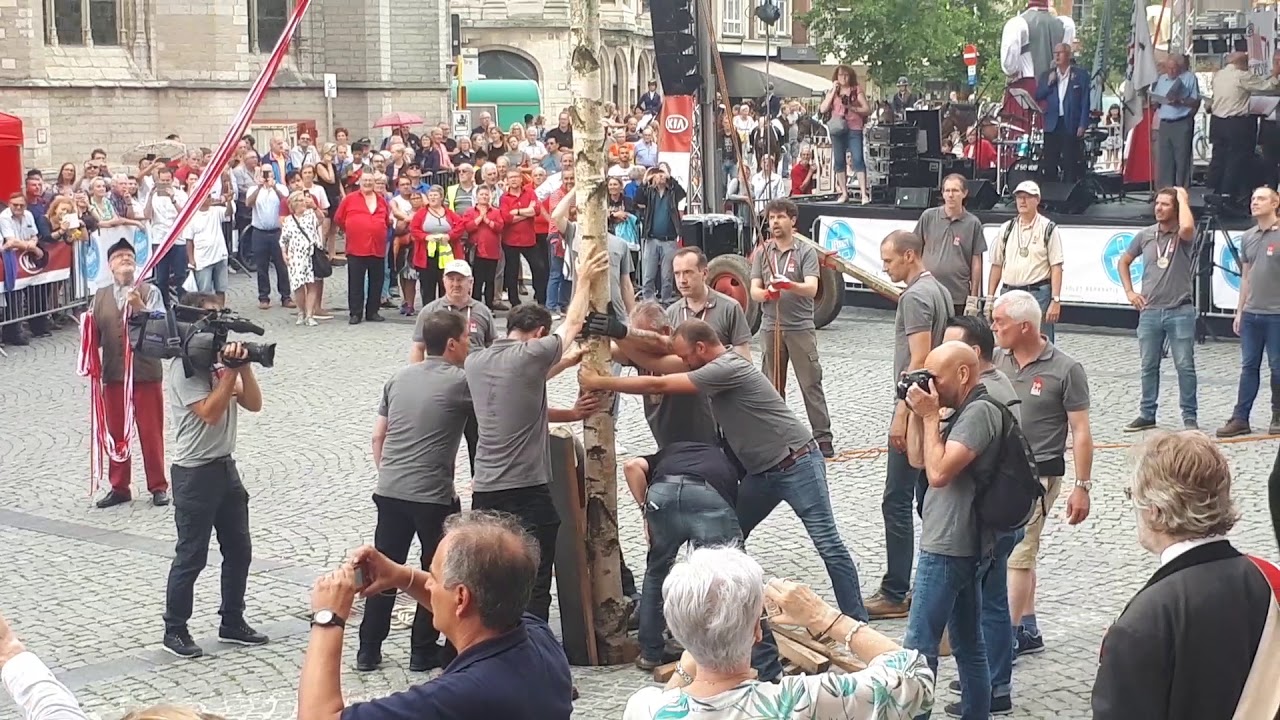 Planting van de enige echte Meyboom in Leuven