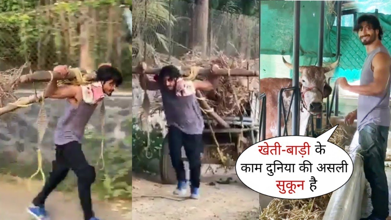 Vidyut Jamwal Doing Farming Work in This Lockdown at Village | Pulled Fully Loaded Bullock Cart