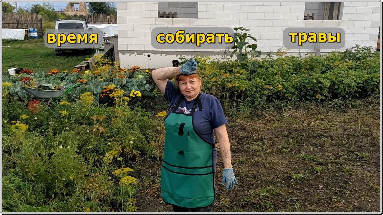 Огородные дары