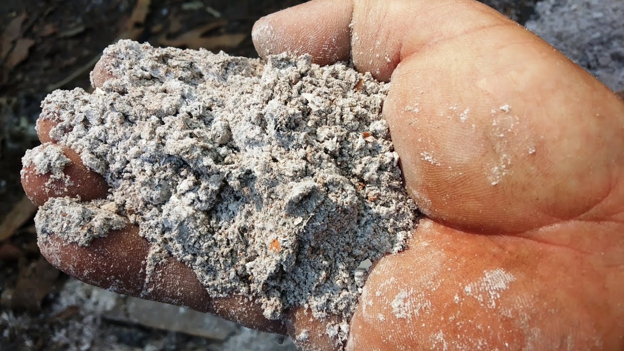 CINZA NAS PLANTAS  É  REMEDIO OU VENENO