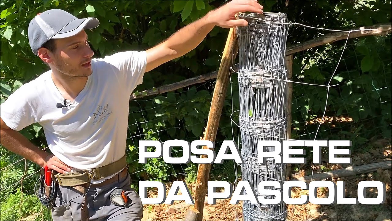 Rete da pascolo: posa e tensionatura