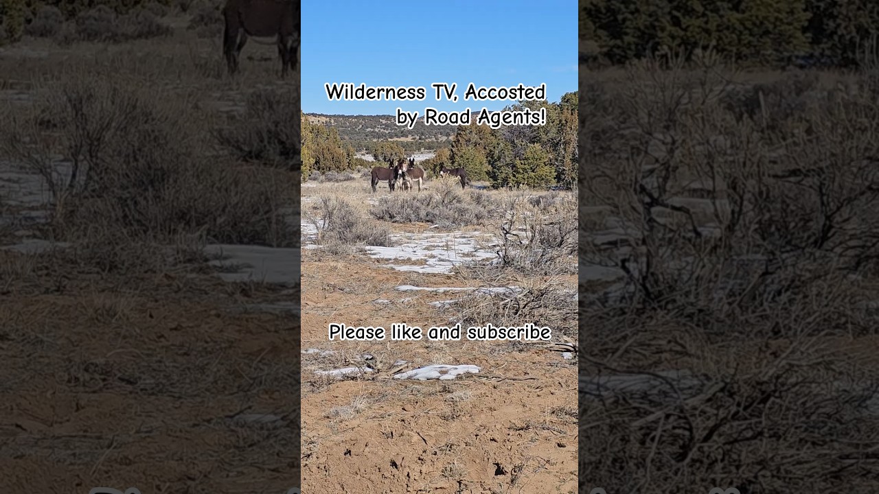 Wilderness TV, Went for walk and ran into outlaws.