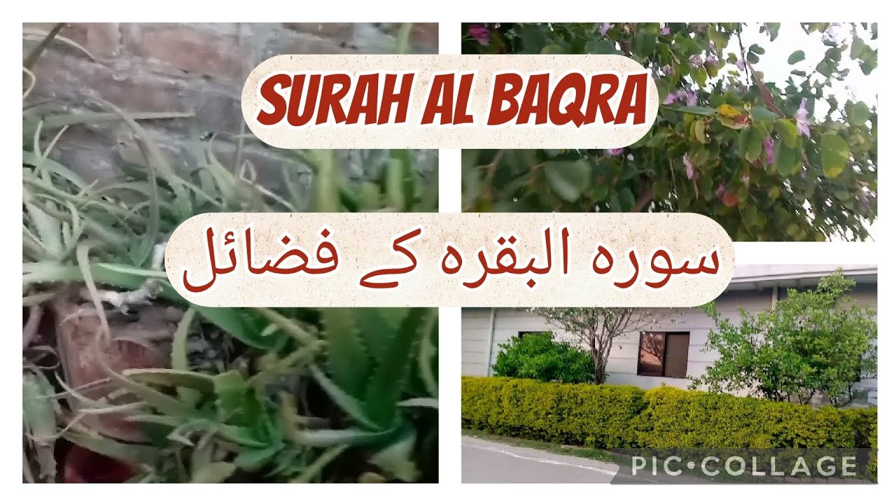 how surah baqarah changed my life|surah baqarah ki fazilat|Ayesha Adnan vlog