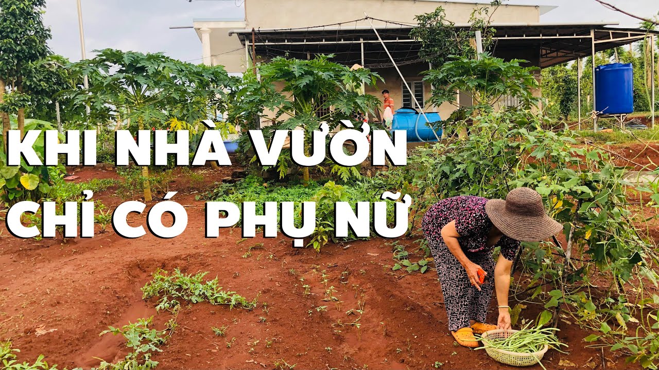 Không thể tin nỗi chi phí sống của 4 bà cháu bỏ Sài Gòn về vườn