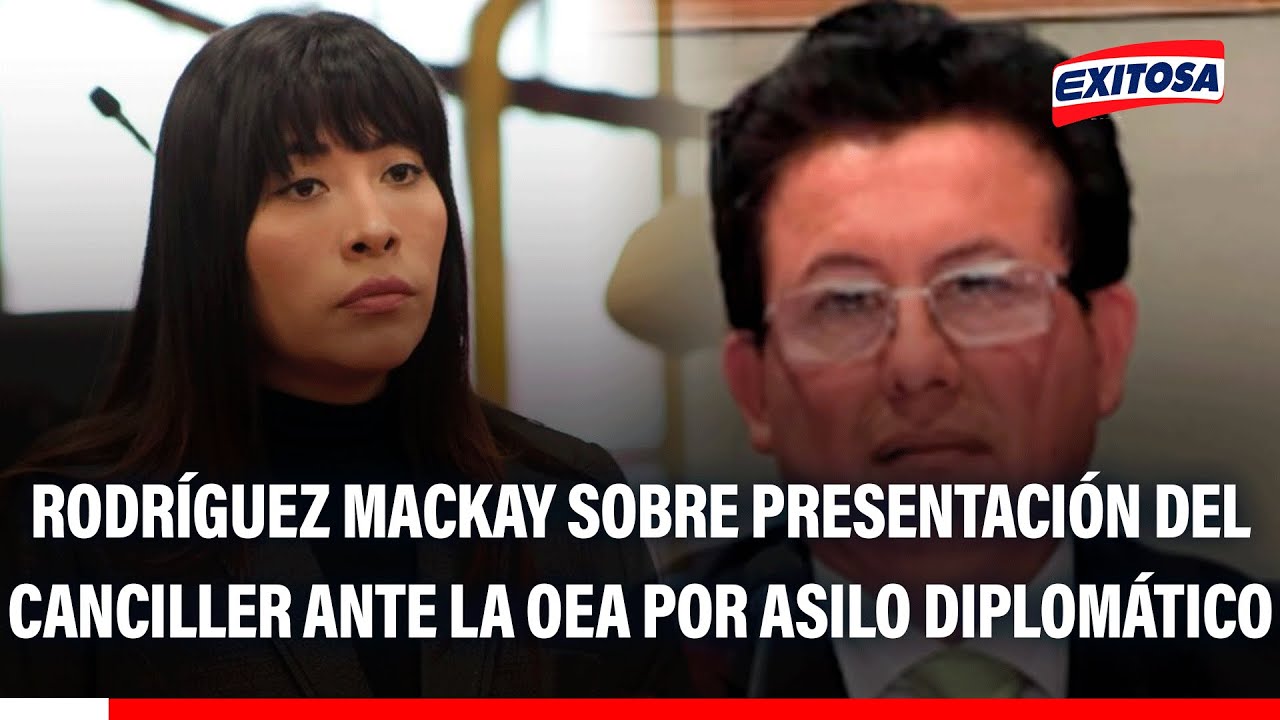 🔴🔵 Rodr&iacute;guez Mackay sobre presentaci&oacute;n del canciller ante la OEA por asilo diplom&aacute;tico
