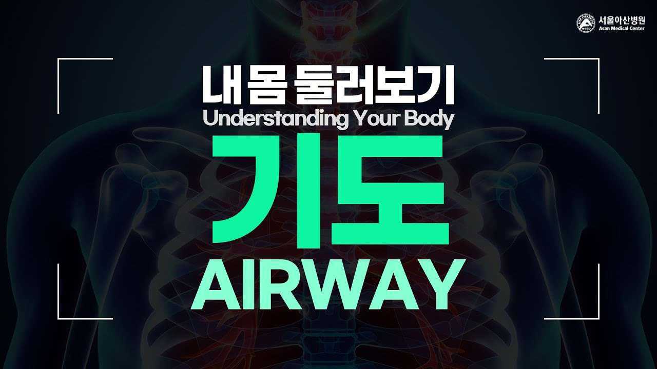 기도 [내 몸 둘러보기]
