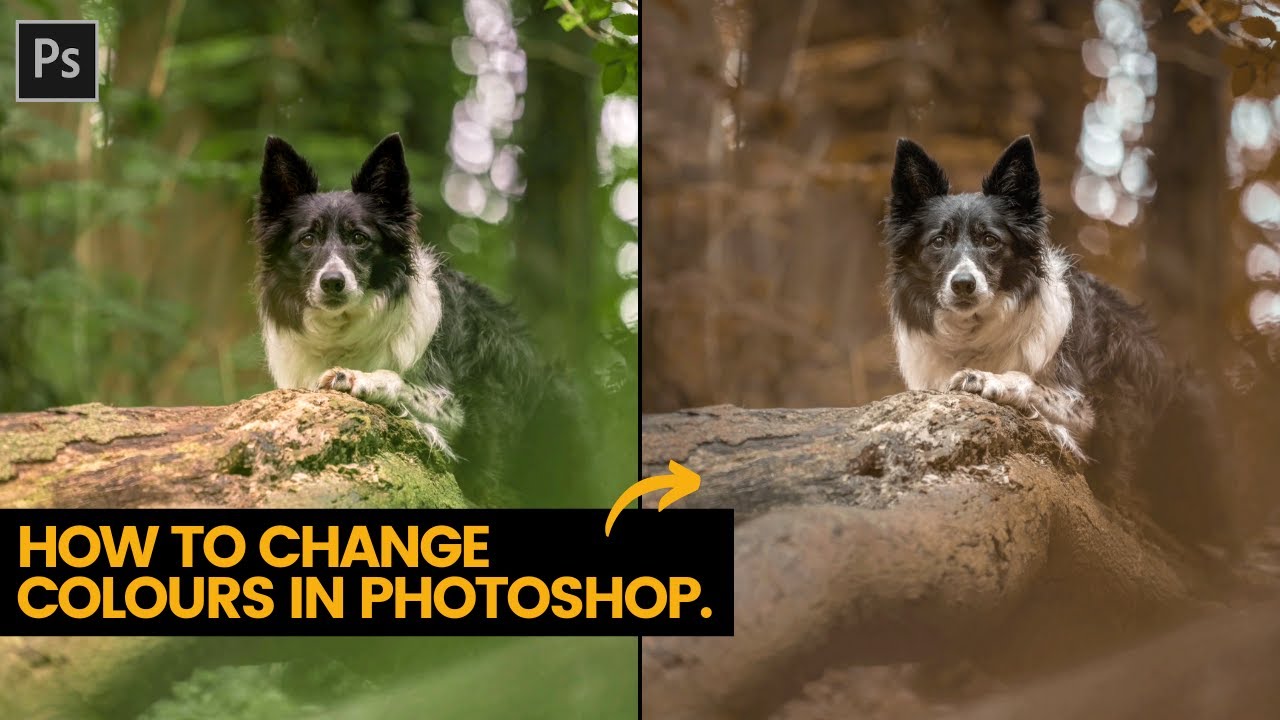 Как изменить цвета в Photoshop — измените лето на осень всего за несколько кликов!