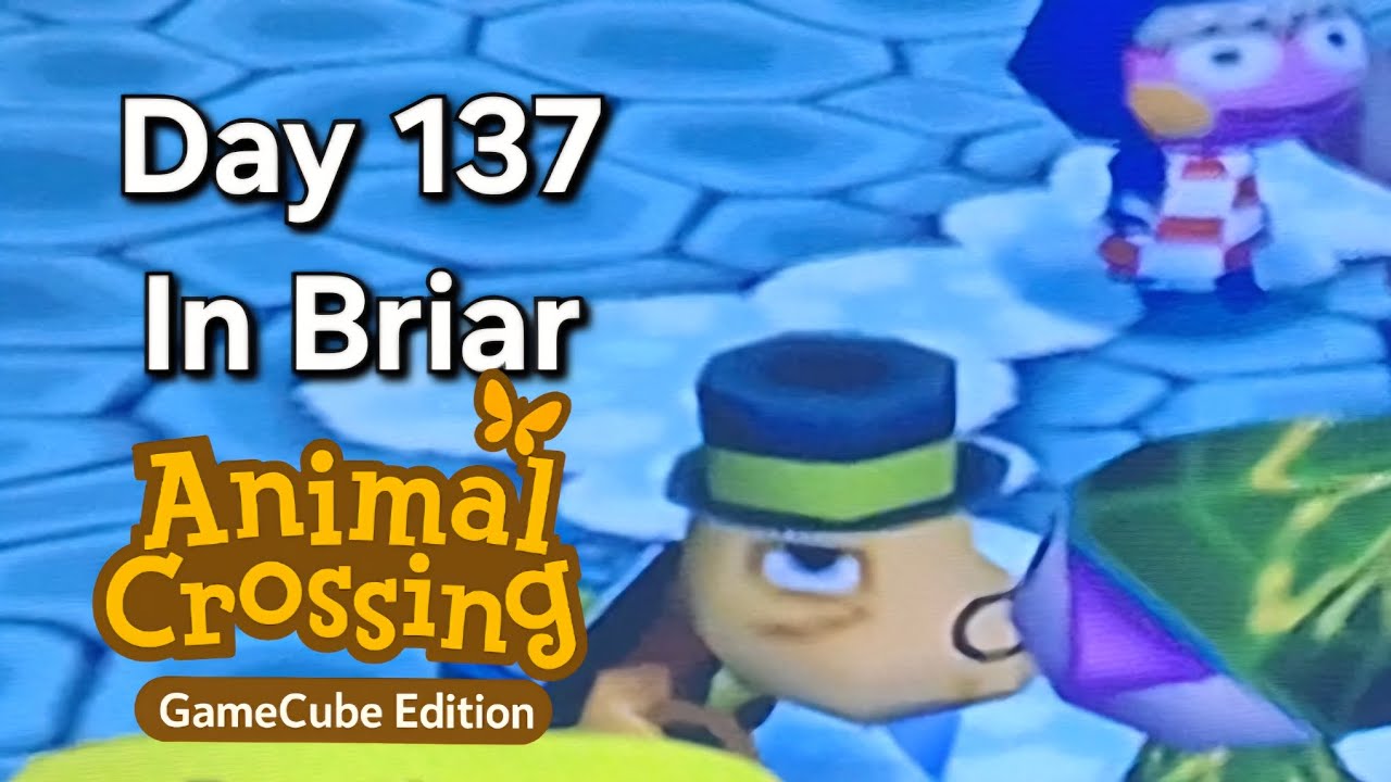Animal Crossing GameCube – Day 137: Button Mashing Panic, a Funny Snowman, and Tortimer’s Vacation