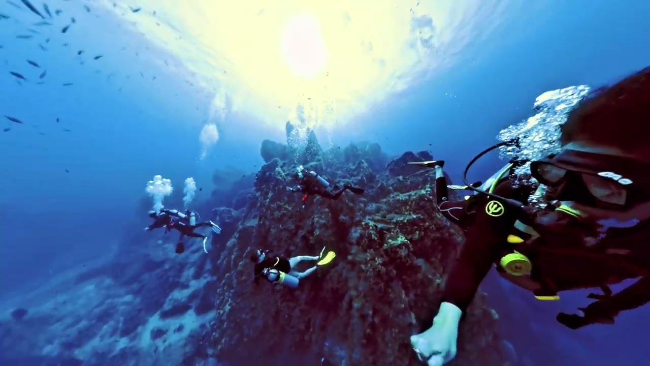 Diving in the Similan Islands and Surin National Park (Deep Andaman Queen)