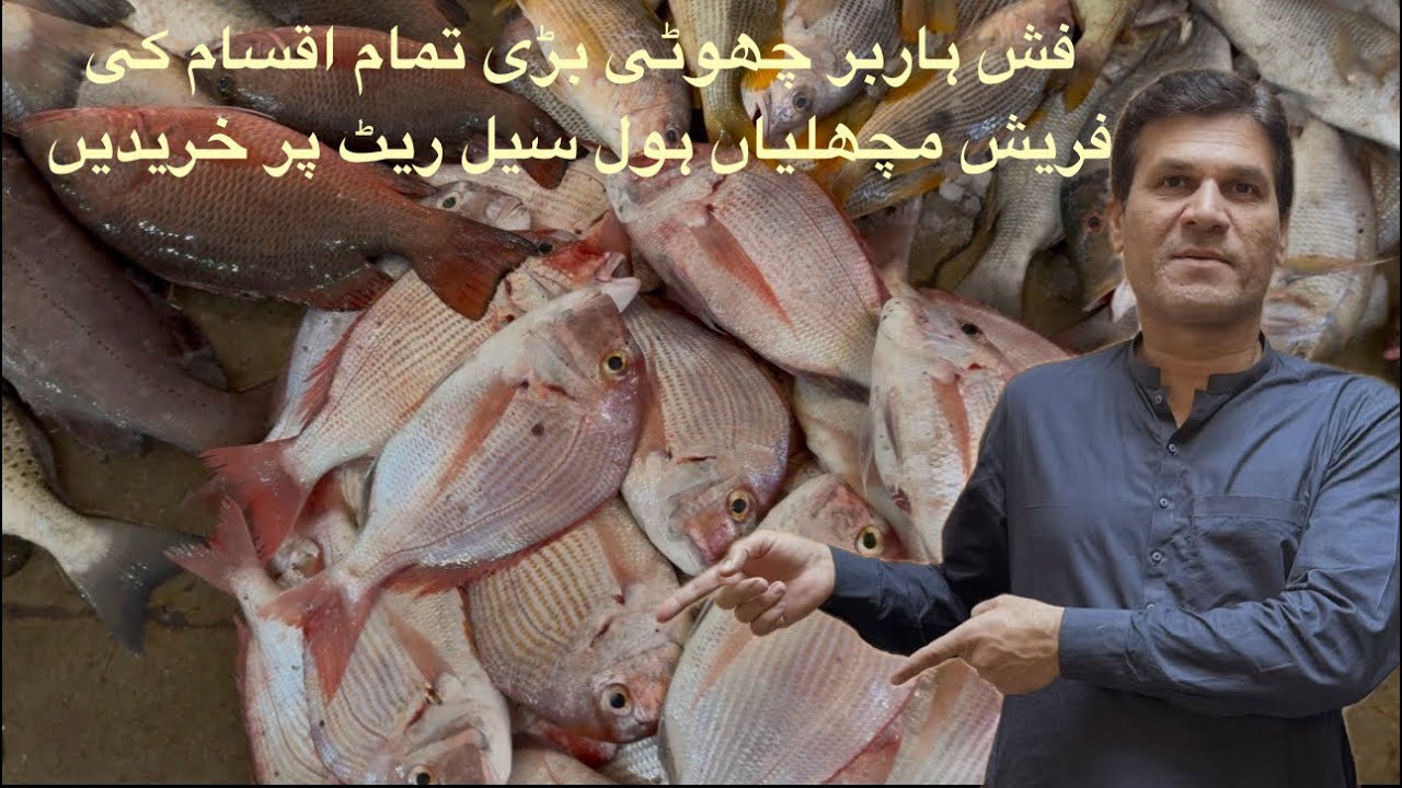 Fish price update K-F-H 12/1/25