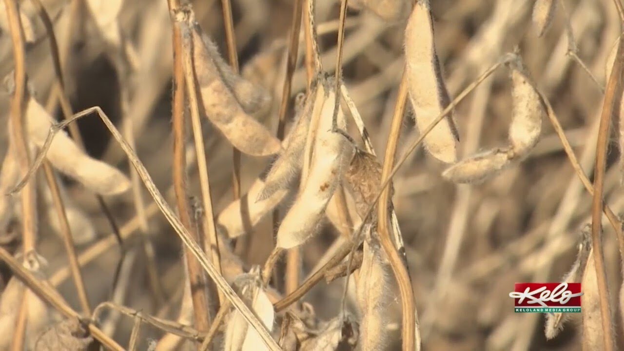 What the farming economy looks like for 2026