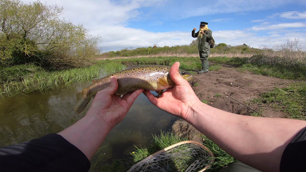 CRAZY Trout fishing session! How many can you catch in 1 day?!?