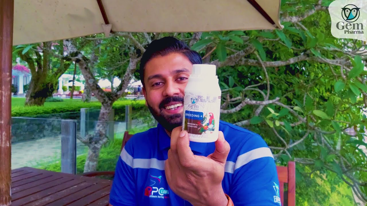 உங்களது பறவைகளுக்காக Gem Pharma வின் Breeding Plus 🦜| Gem Pharma | Pet Supplements in Sri Lanka