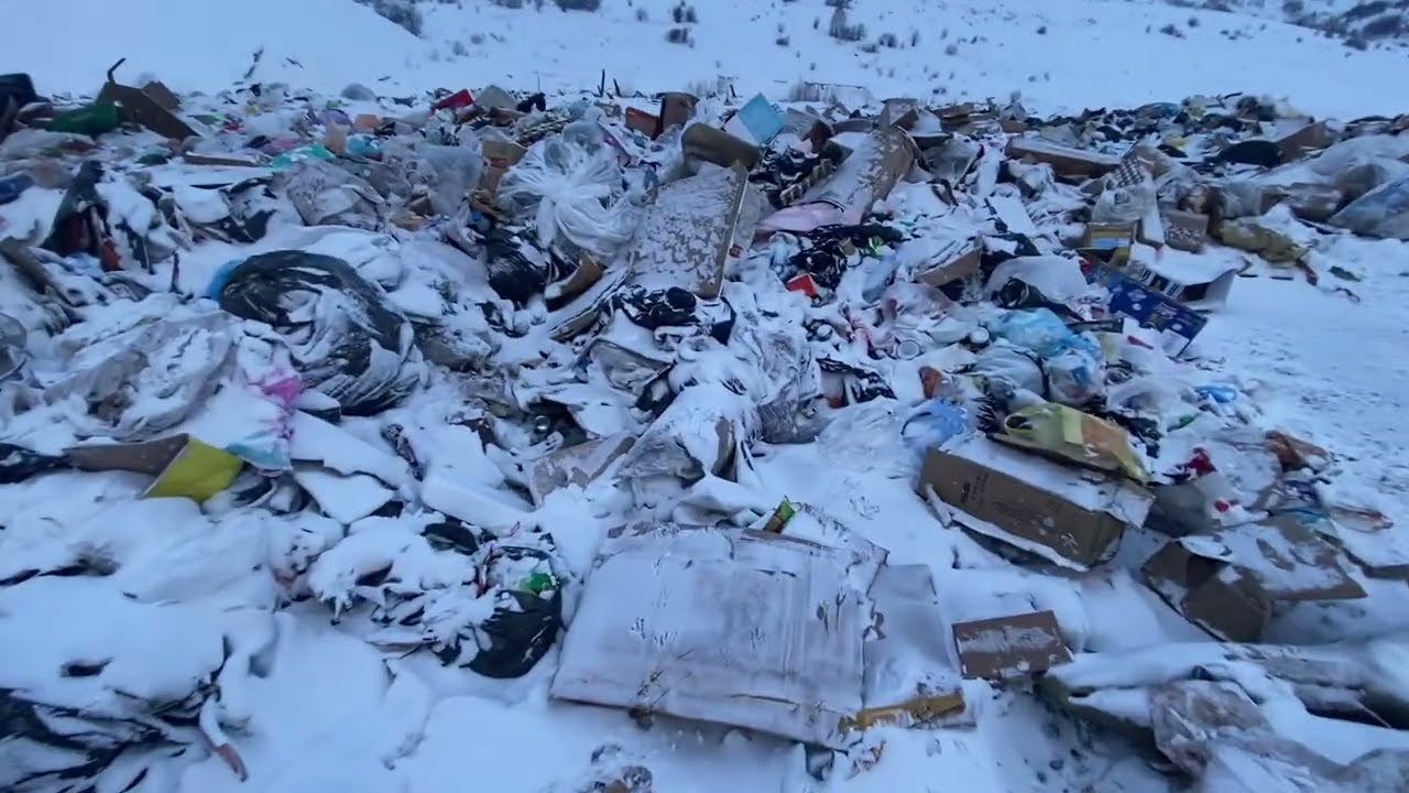 Свалка снова меня не подвела! Вот что я нашёл сегодня 💰♻️