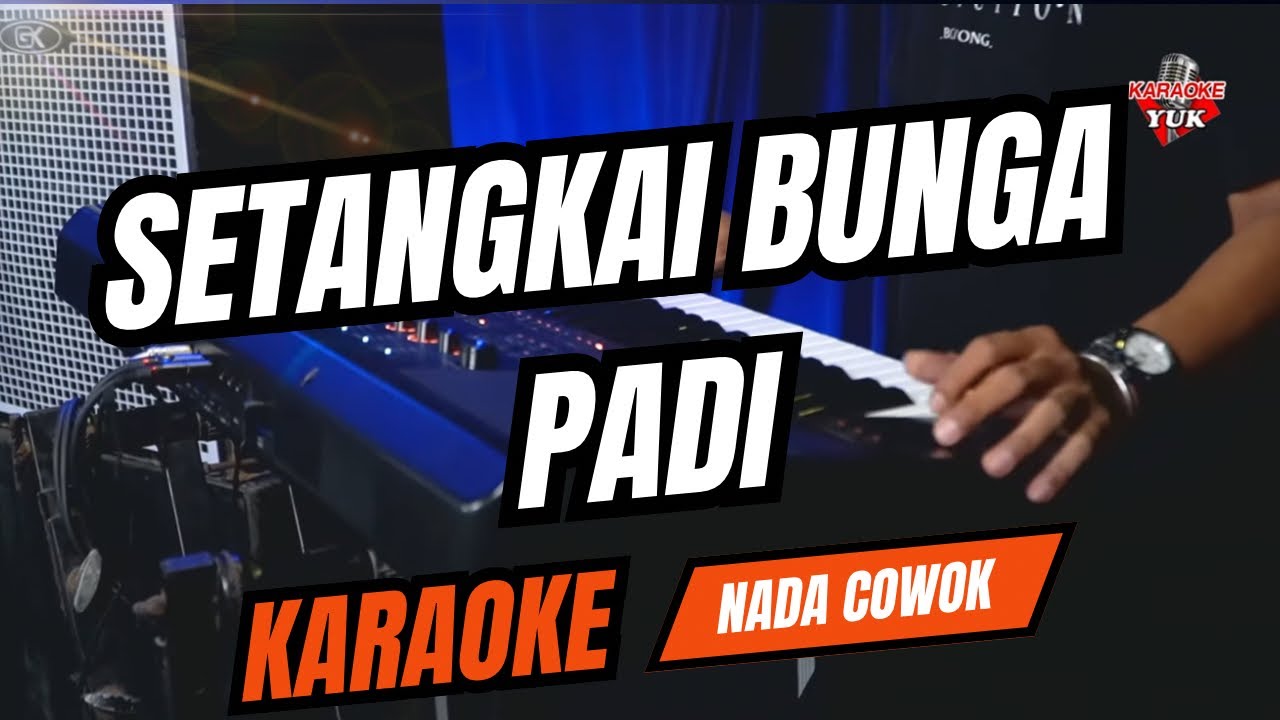SETANGKAI BUNGA PADI KARAOKE NADA COWOK PRIA Key G