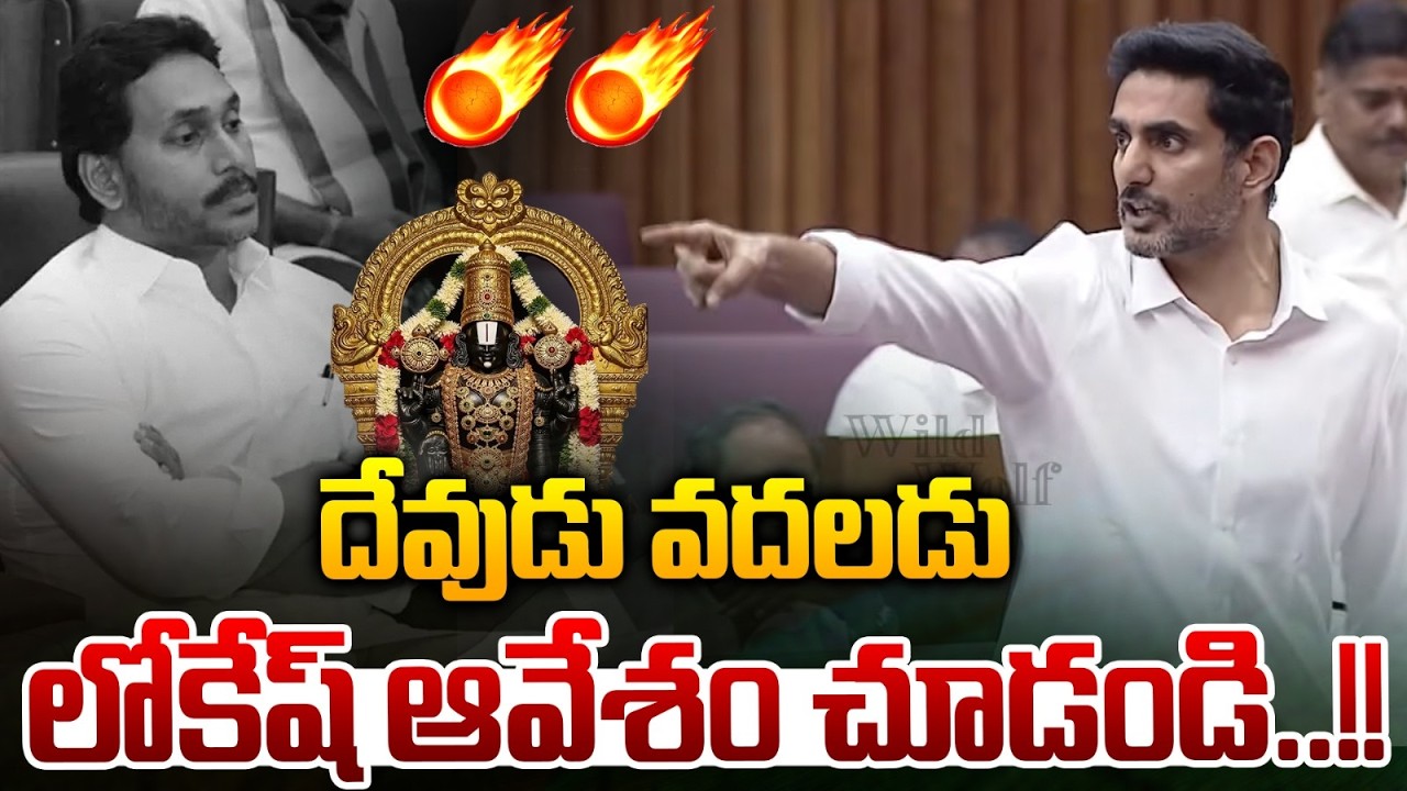 Nara Lokesh Furious : దేవుడు వదలడు..లోకేష్ ఆవేశం చూడండి | AP Legislative Council LIVE | TDP VS YCP
