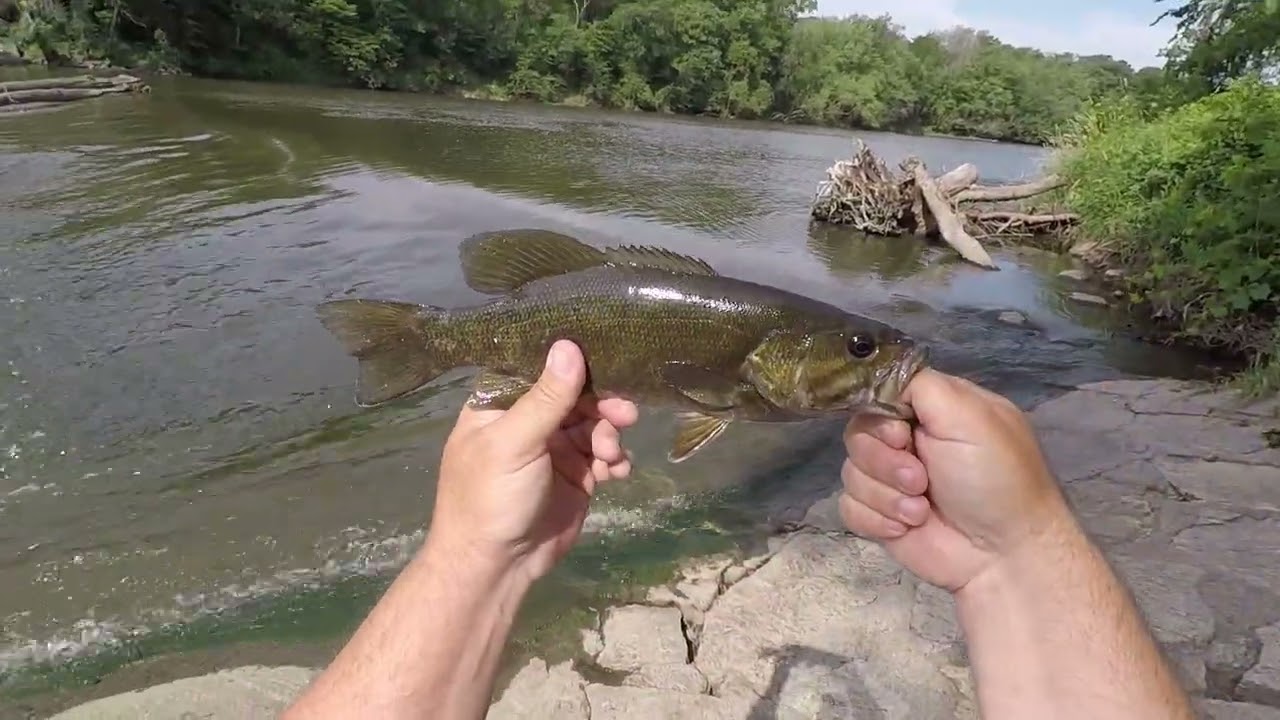 Fishing The Rapids! Mepps XD and Venom Tube Strike Again!  Mepps Comet Mino Chaos?