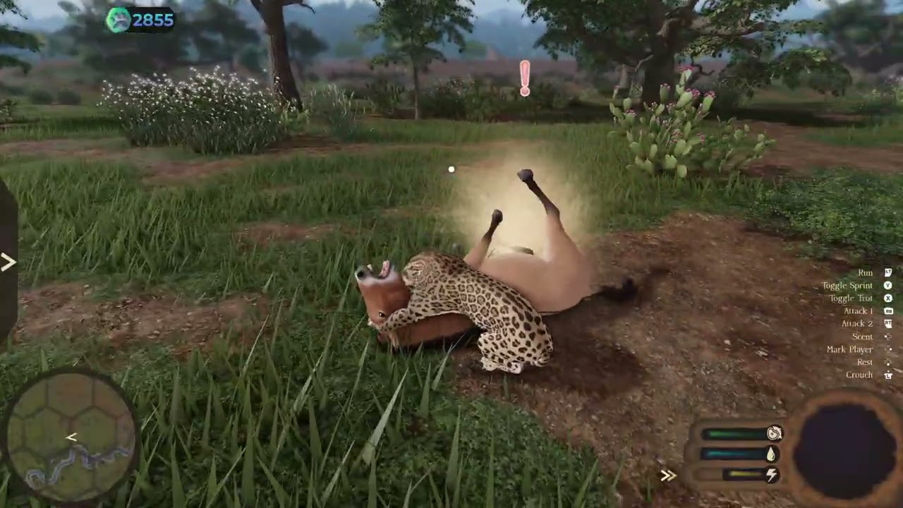 Western Horse Ambush, (Strike 1,2 & Hit)