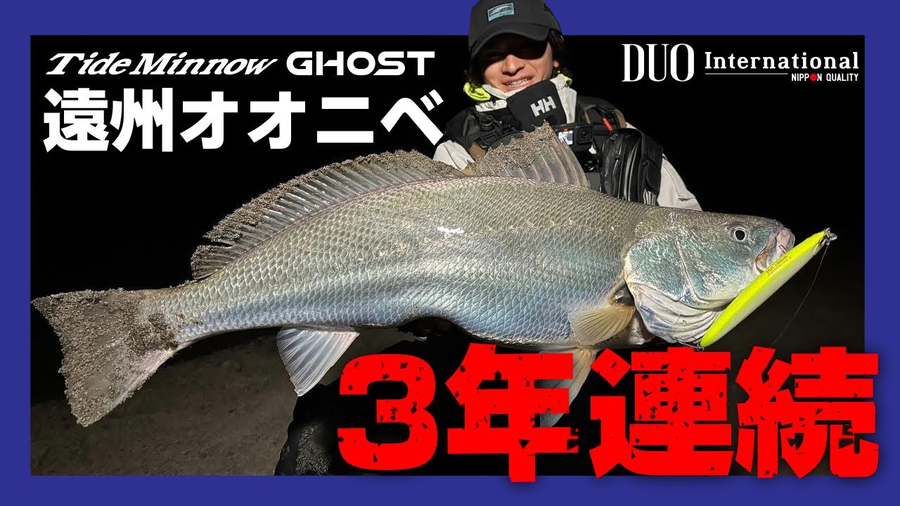 遠州オオニベ　ミノーゲーム