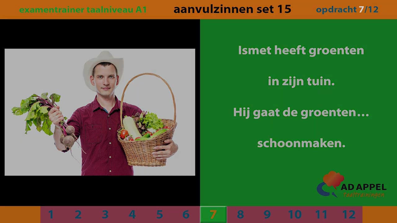 Inburgering A1 - examentrainer - Spreken - AANVULZINNEN Set 15