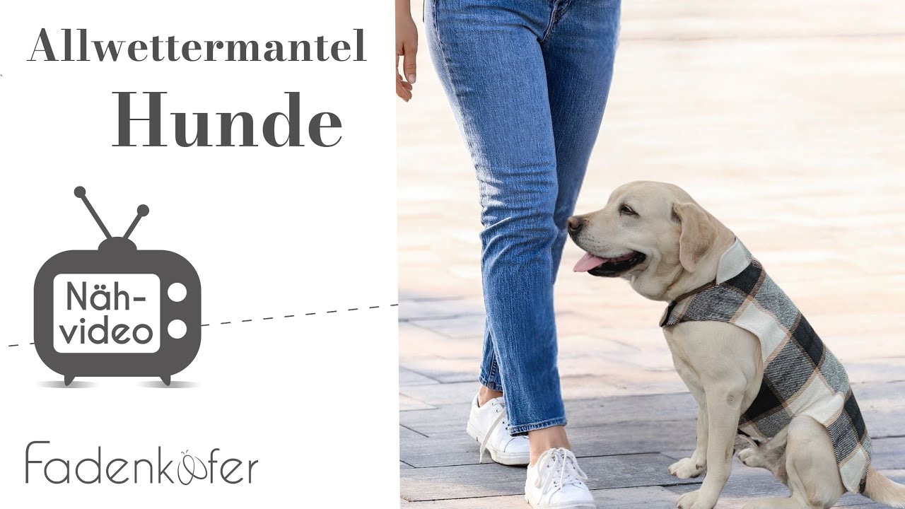 Stylisch und praktisch: Der Allwettermantel für Hunde – So nähst du ihn selbst!