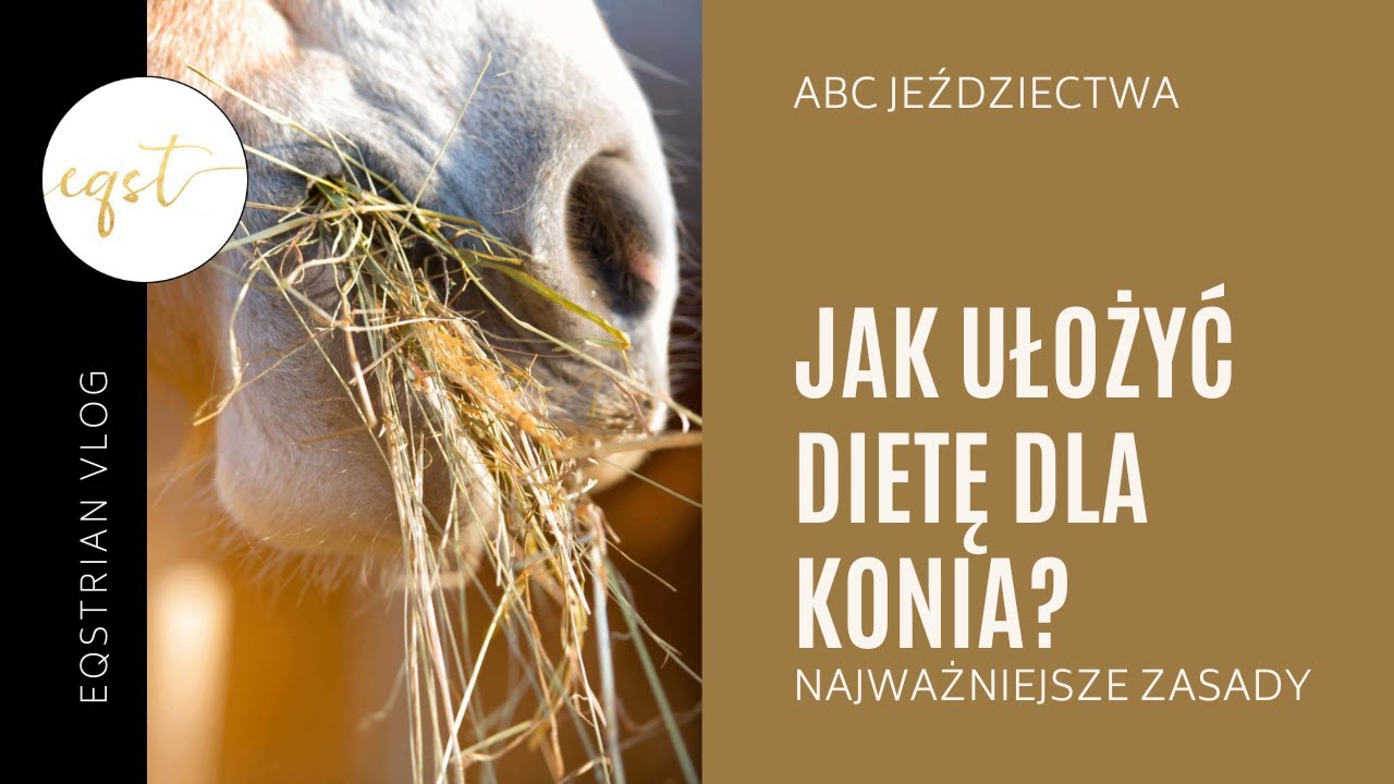 JAK UŁOŻYĆ DIETĘ DLA KONIA? | najważniejsze zasady